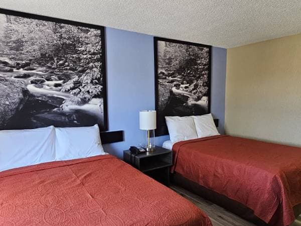 The Gardner Inn Gallery Image 19
